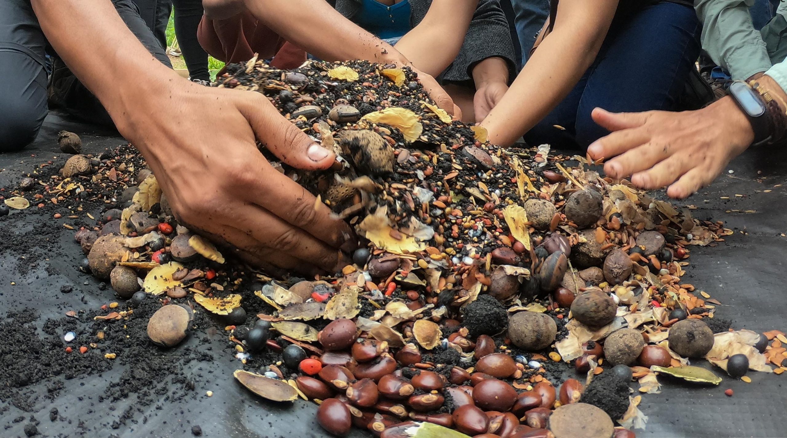 Foto: Fundação Renova