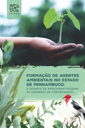 Capa-do-livro-e1595957740278