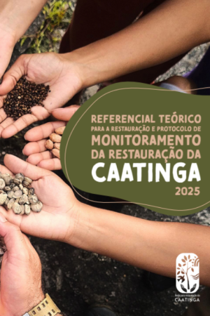 Design sem nome (16)