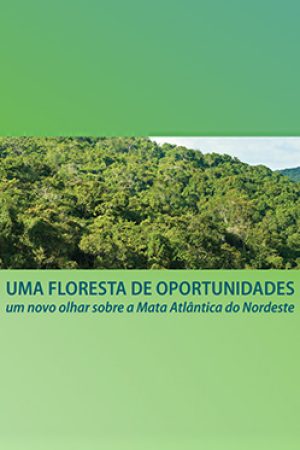 uma-floresta-oportunidades